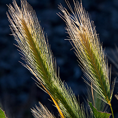 Transportation & Logistics